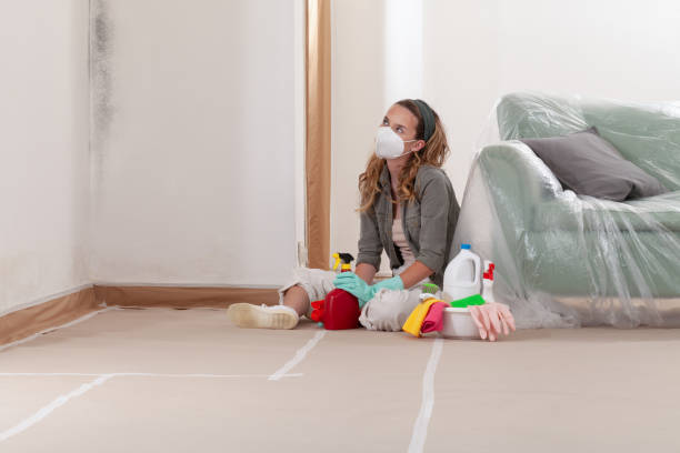 Reliable Black Mold Remediation contractor in Hume, VA by 24 Hour Mold Removal